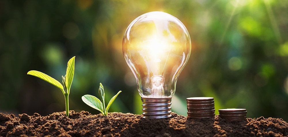 lightbulb with tree and coins on soil sunshine background concep Glühbirne leuchtet auf dem Boden