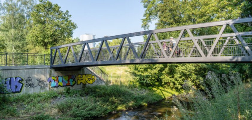 Brücke führt über Fluss im Waldgebiet