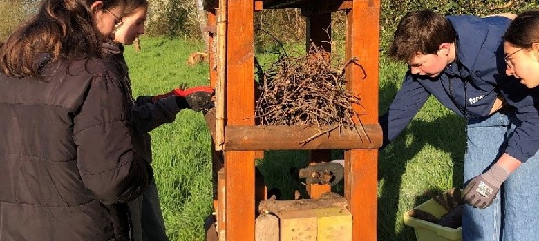 Kinder bei der Arbeit am Nistturm