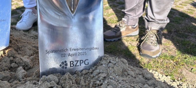 Ein Spaten steckt im Sand.