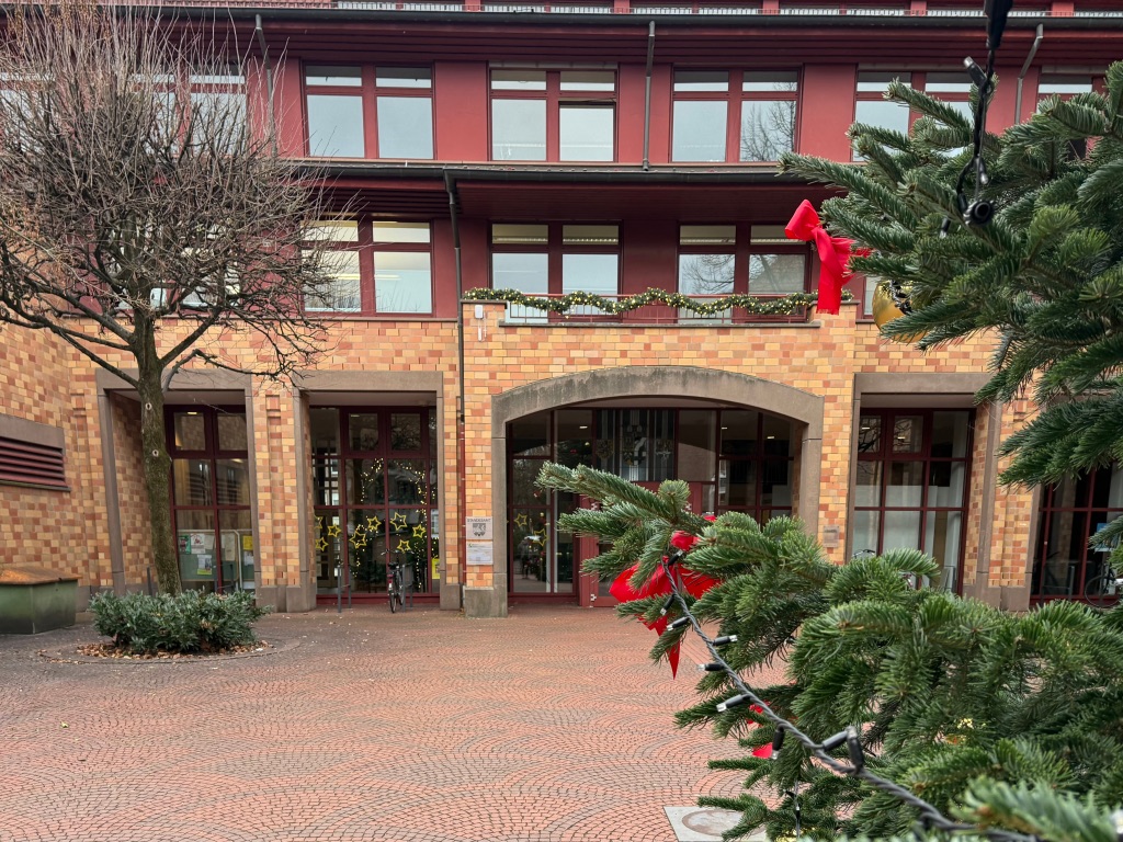 Rathaus mit geschmücktem Weihnachtsbaum.