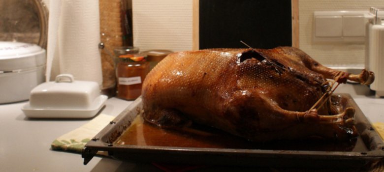 Design ohne Titel - 1