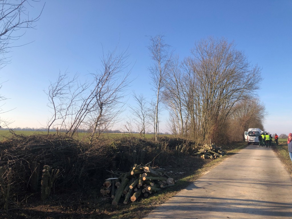 Feld bei den Schnittarbeiten