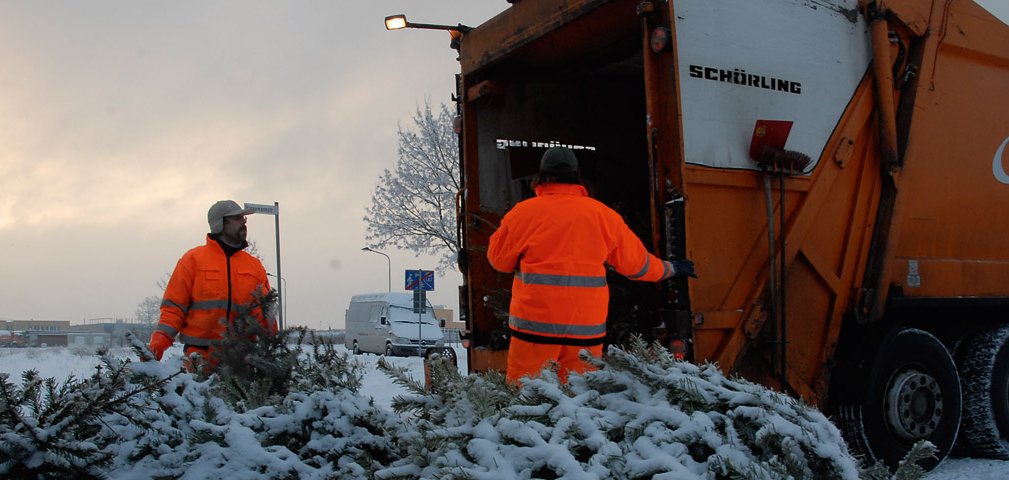 Müllfahrzeug mit zwei Männern verladen die Weihnachtsbäume