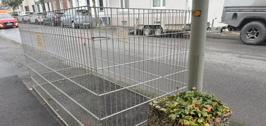Laubkiste in Würselen