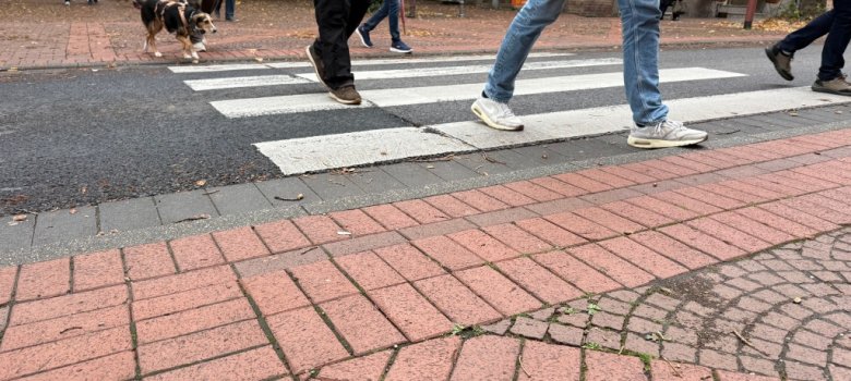 Zebrastreifen