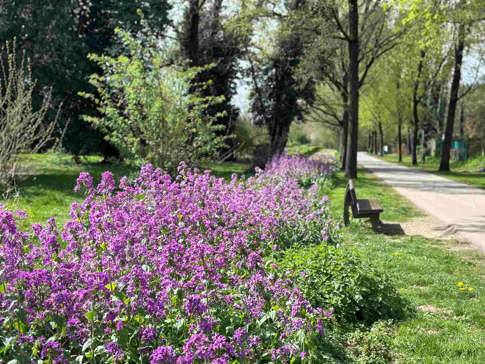 Machen Sie mit: Ihre Stimme für den Stadtgarten Machen Sie mit: Ihre Stimme für den Stadtgarten