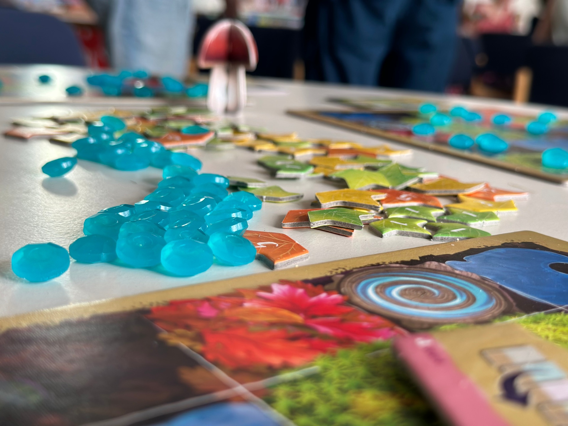 Stadt-Land-Spielt! Stadt-Land-Spielt!