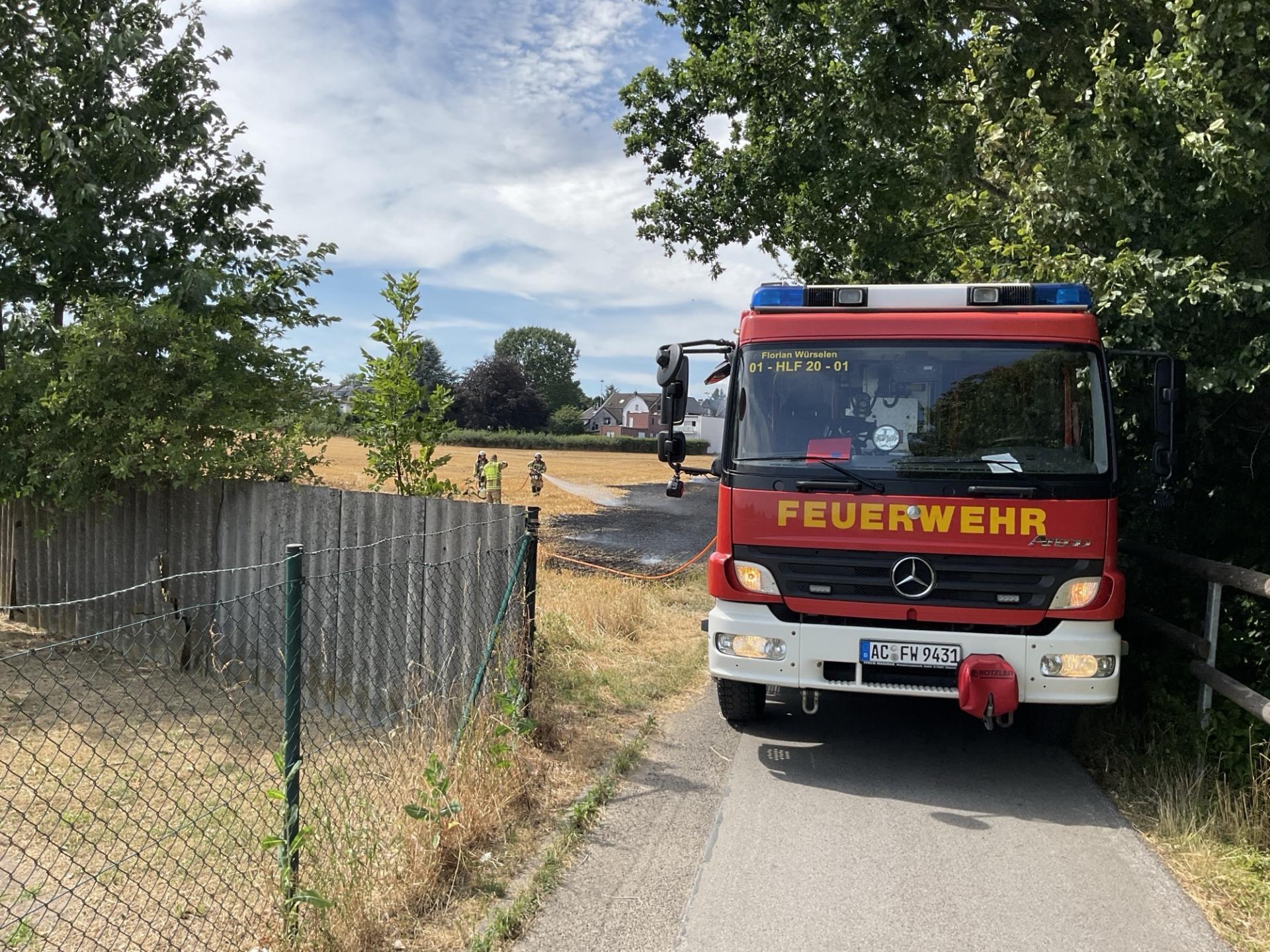 Flächenbrand rief Feuerwehr auf den Plan Flächenbrand rief Feuerwehr auf den Plan