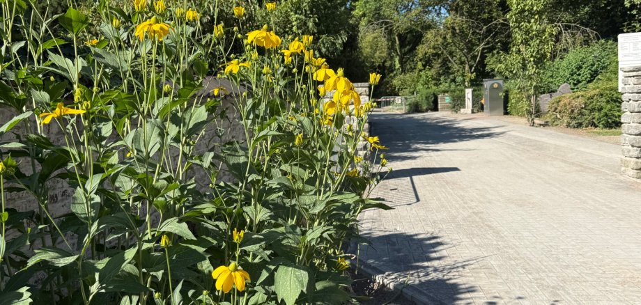 Friedhof