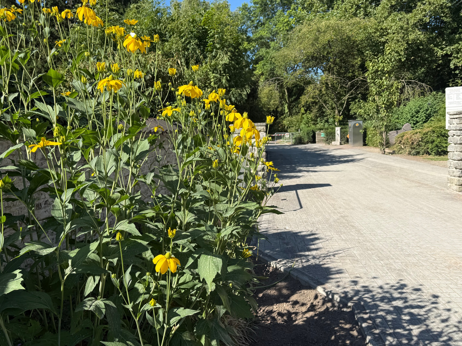 Friedhof Friedhof