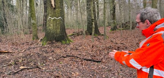 Olaf Schubert, seit einigen Monaten der neue Mann für das Revier, setzt auf Kontraste.