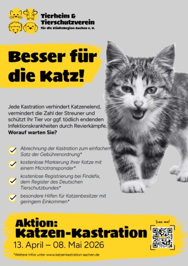 Poster des Tierschutzvereins Aachen mit Informationen zum Katzenkastrationsangebot
