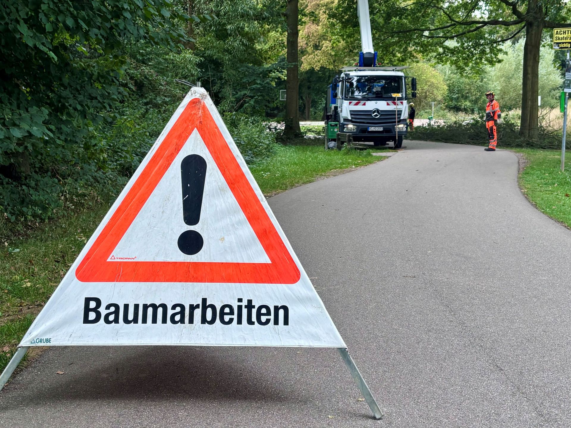 Rodungsarbeiten Rodungsarbeiten