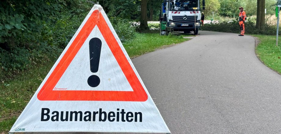Rodungsarbeiten